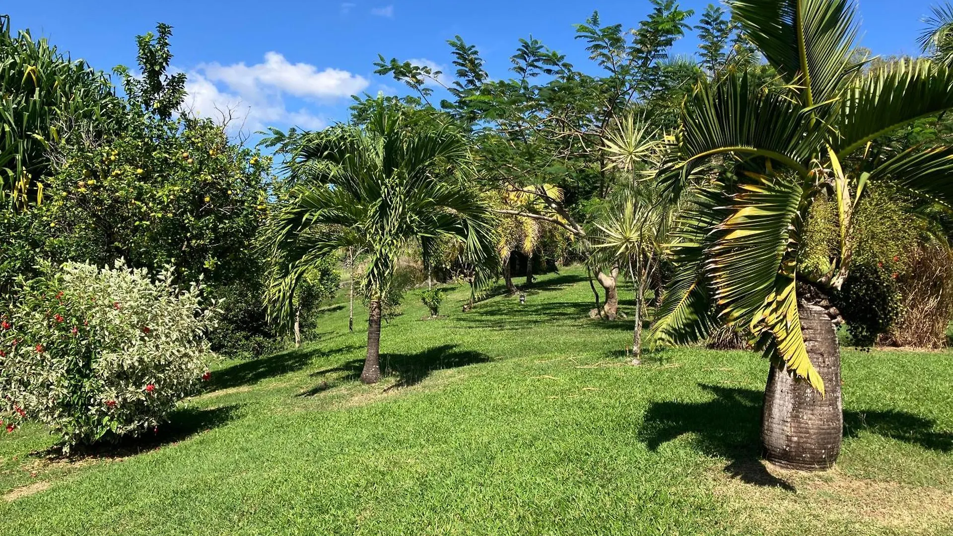 Villa Ladilafe Le Marin